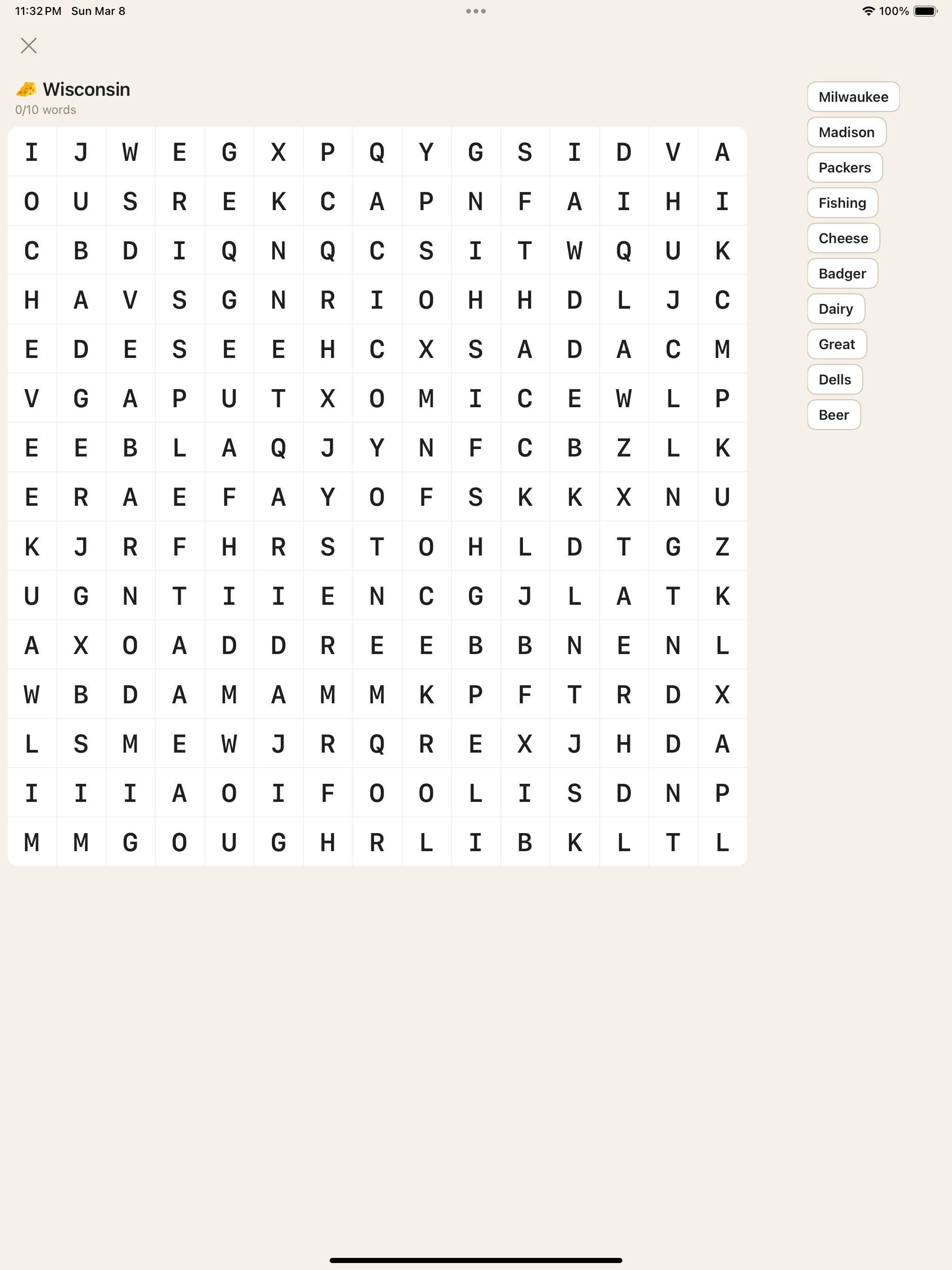 Word Search — iPad
